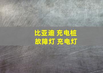 比亚迪 充电桩 故障灯 充电灯